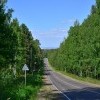 велопрогулка 