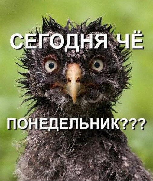 Понедельник