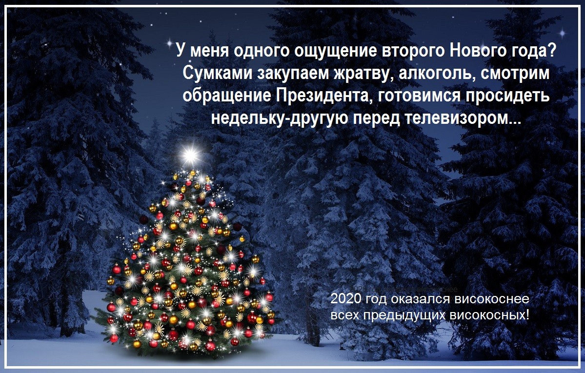 Високосный год