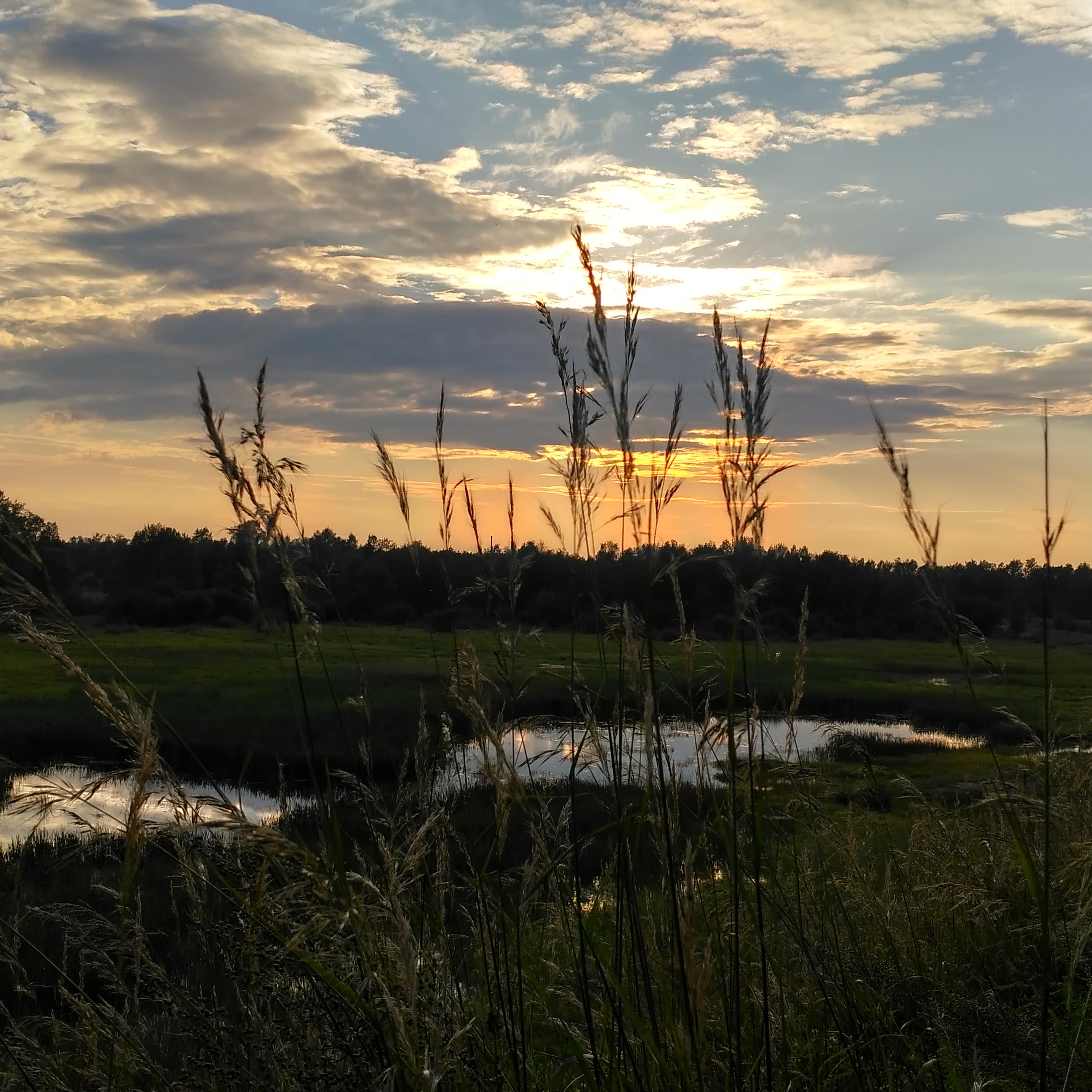 Нет прекраснее заката, чем закат в родном краю
