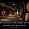 Винный погреб