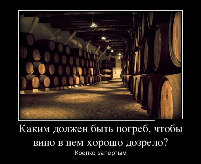 Винный погреб