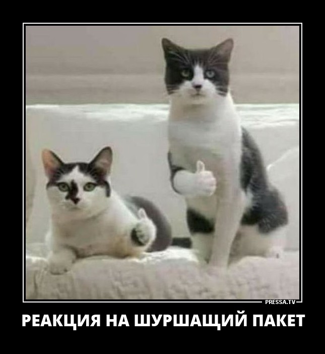 Шуршащий пакет