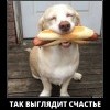 Так выглядит счастье Так выглядит счастье