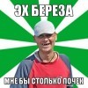 эх береза! мне бы столько почек!
