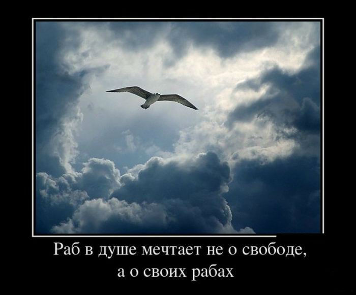 Мечты раба