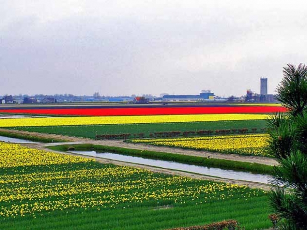 Кекенхоф парк