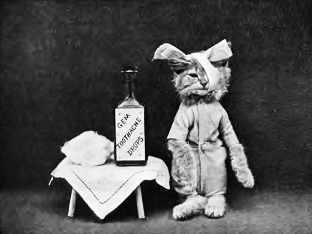 чёрно-белая подборка котэ 7