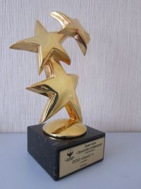 Гран-при "Золотое созвездие"