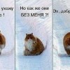 ээх ээх