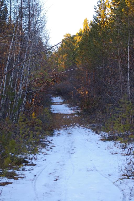 016 polosataya lyzhnya