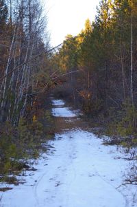 016 polosataya lyzhnya