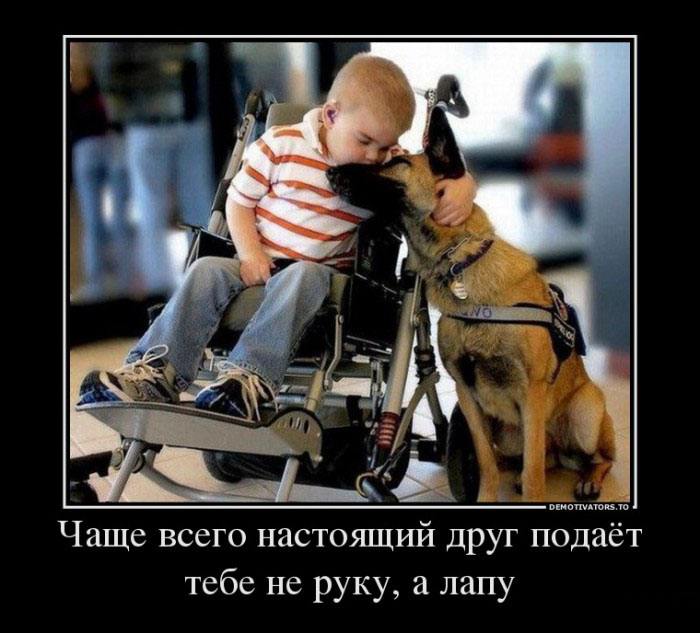 Настоящий друг