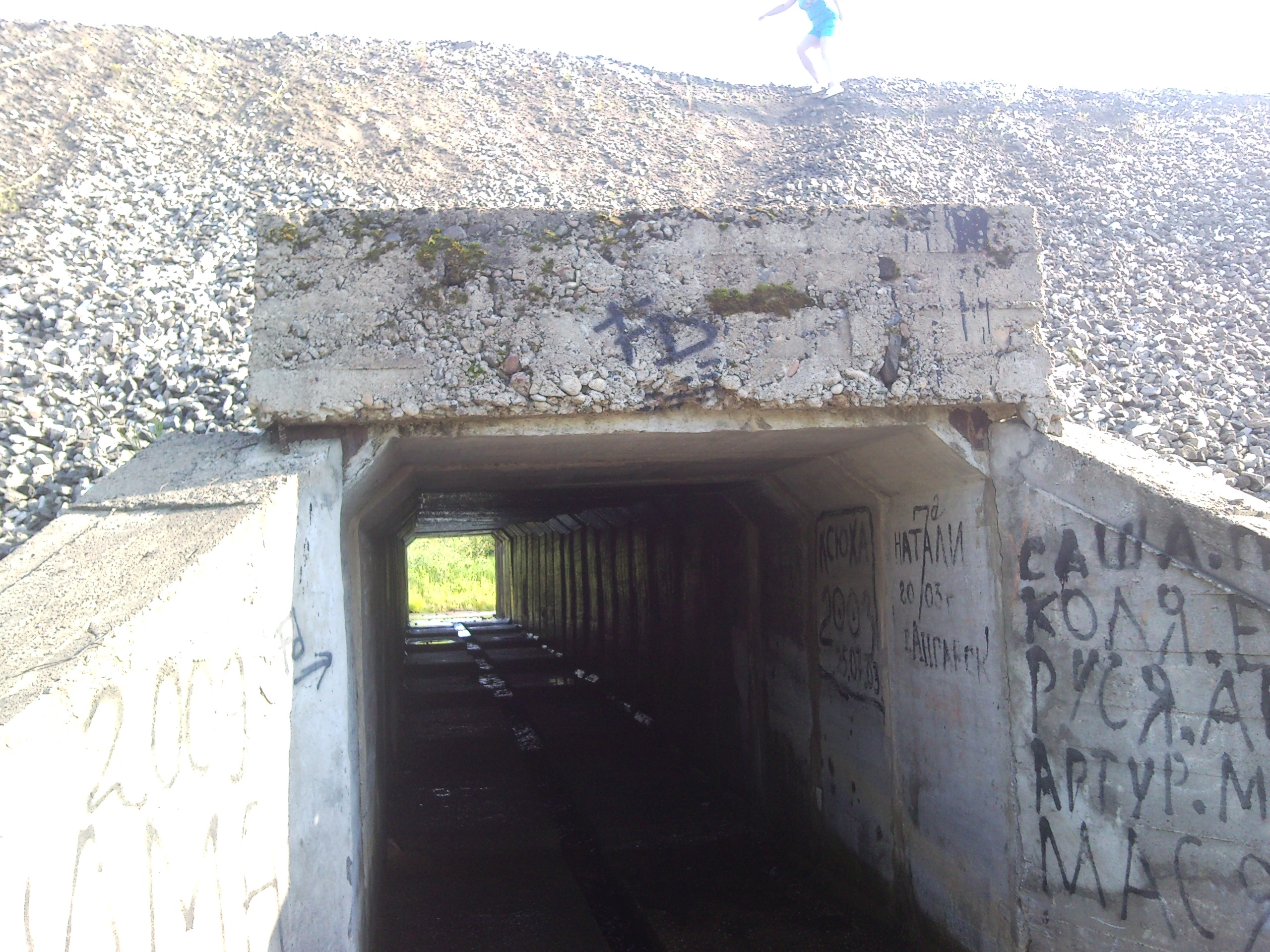 Они и сюда добрались