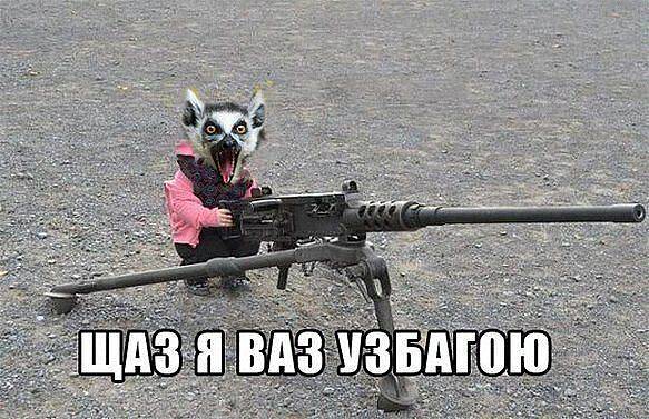 щаз я вас узбогою