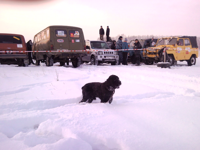 триал-ралли