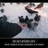 специально для Рыси