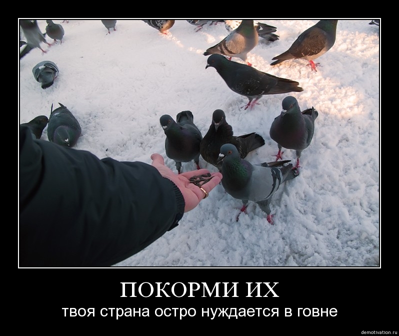 специально для Рыси