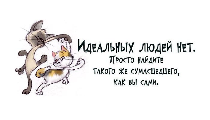 Идеальных людей нет
