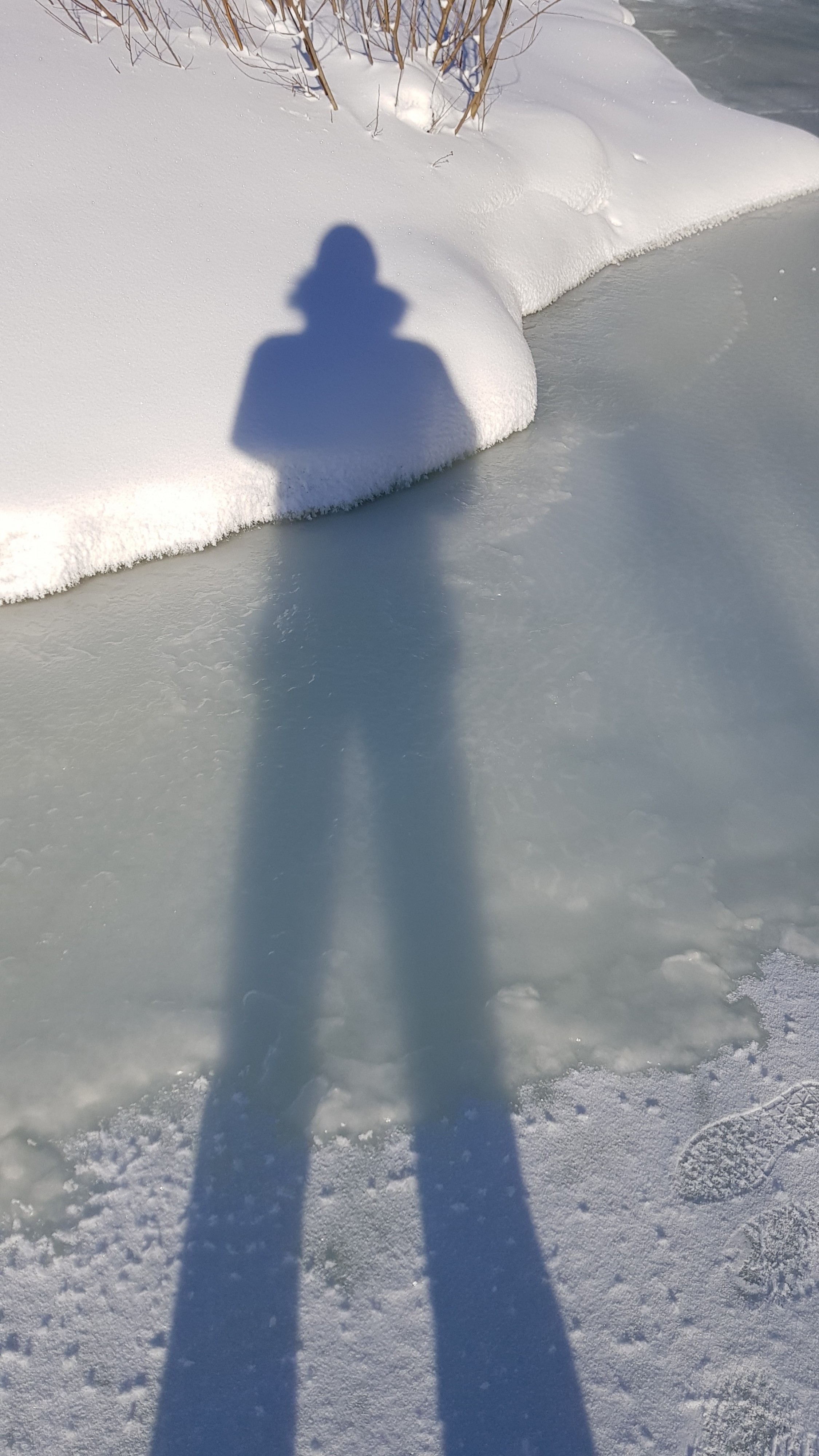 сирёгина тень снежноледвозамерзшая))))))