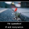 Не сдавайся