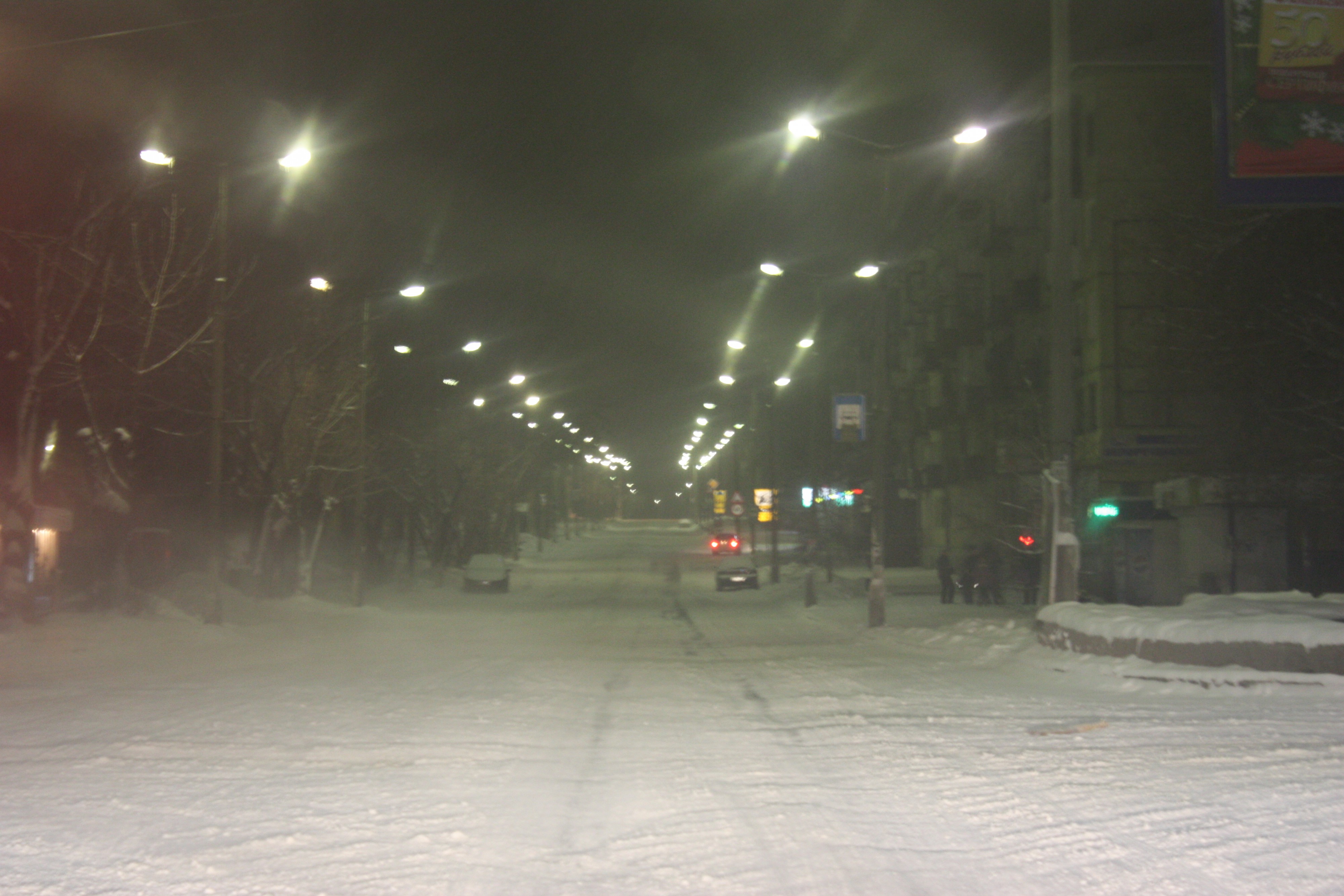 Новогодняя ул. Энгельса