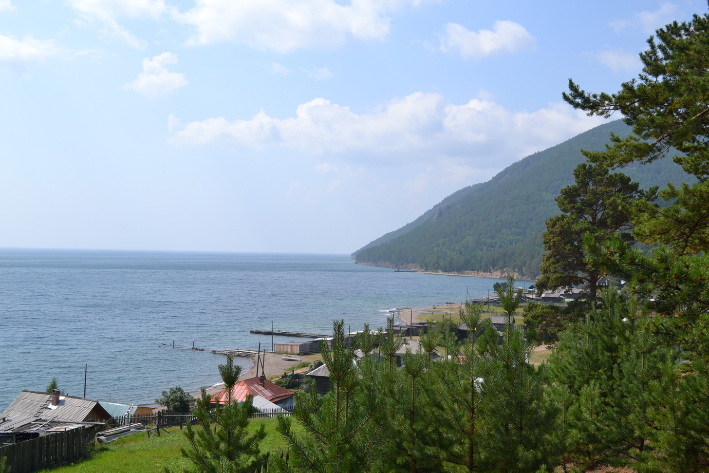 Большие КОты))))))