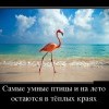 Самые умные