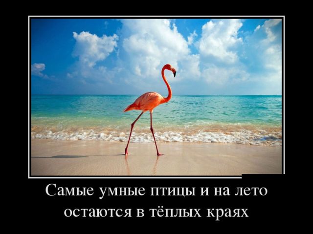 Самые умные