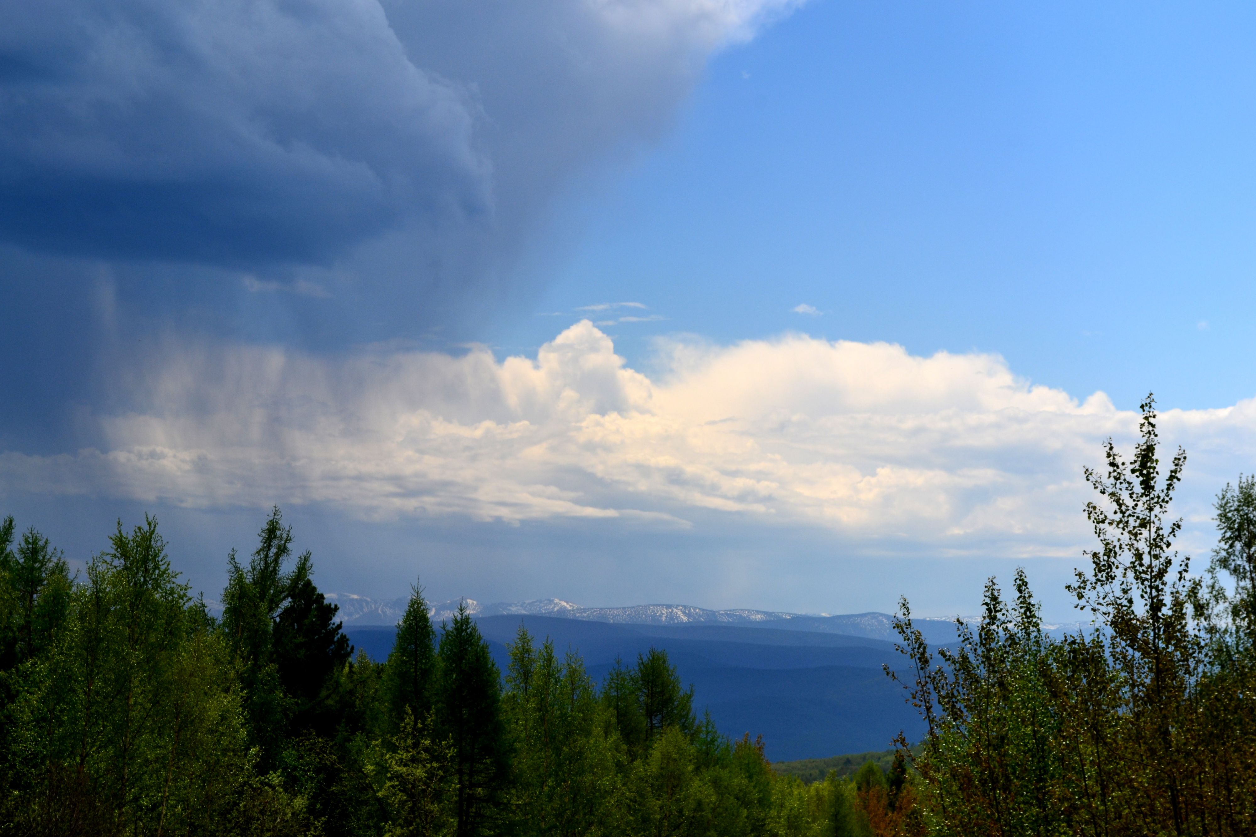 Хамар-Дабан