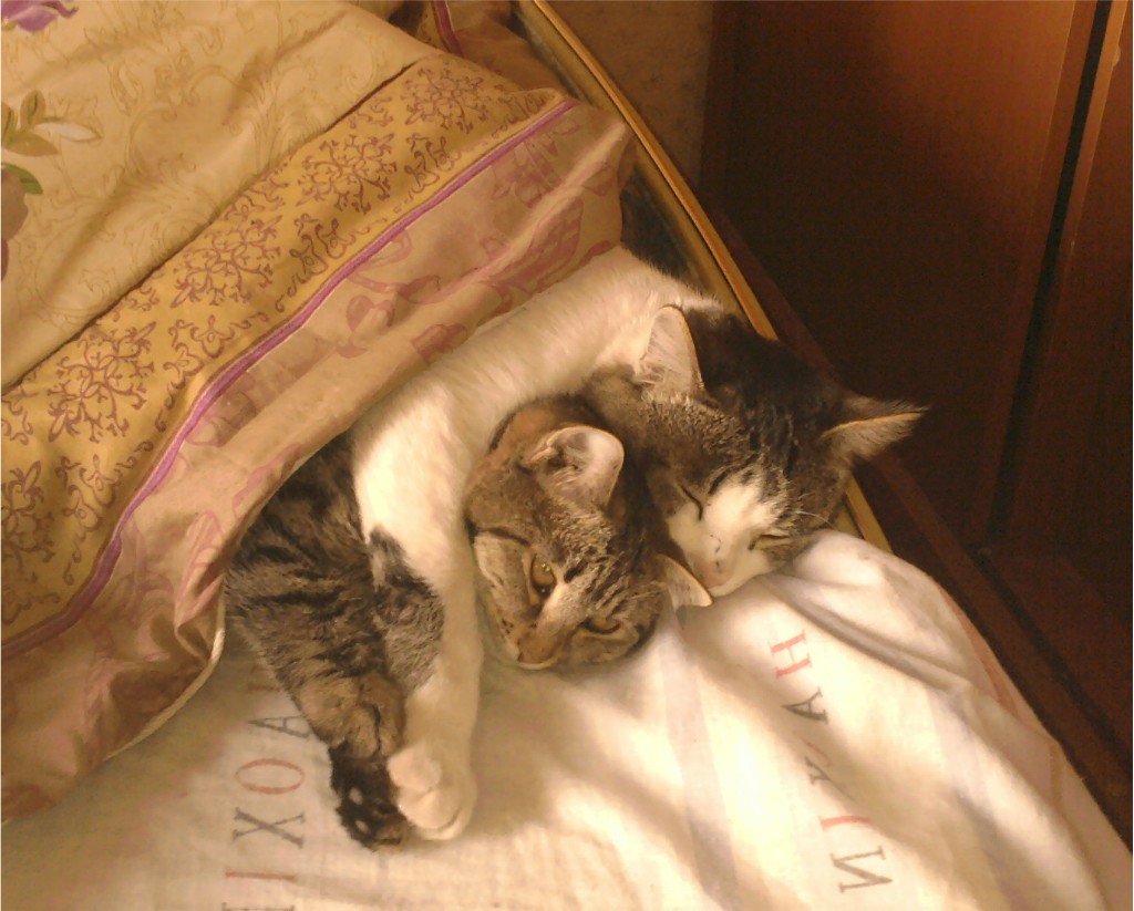 Тима и Матильда