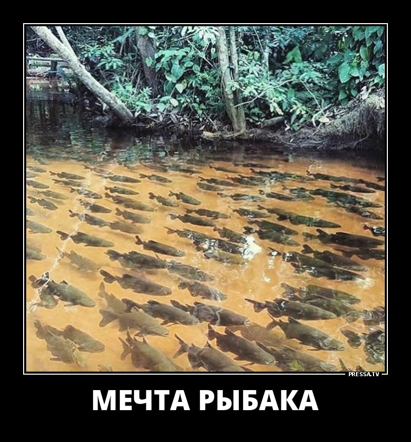 Мечта рыбака