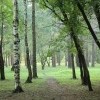 IMG 1991 (130) IMG 1991 (130)
