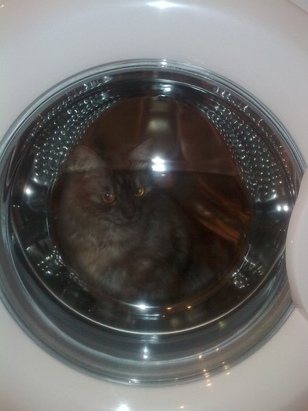 ..Гагарин, я Вас любила оооой нананана...;)