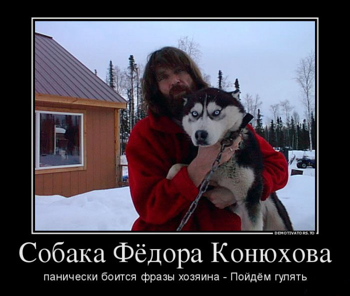 Собака Фёдора Конюхова