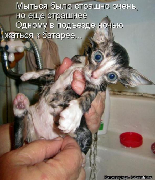 Cb9ab75d6a872a73242bf158e0f prev