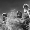Блонди для стастера и брюнетки для всех 2 Блонди для стастера и брюнетки для всех 2