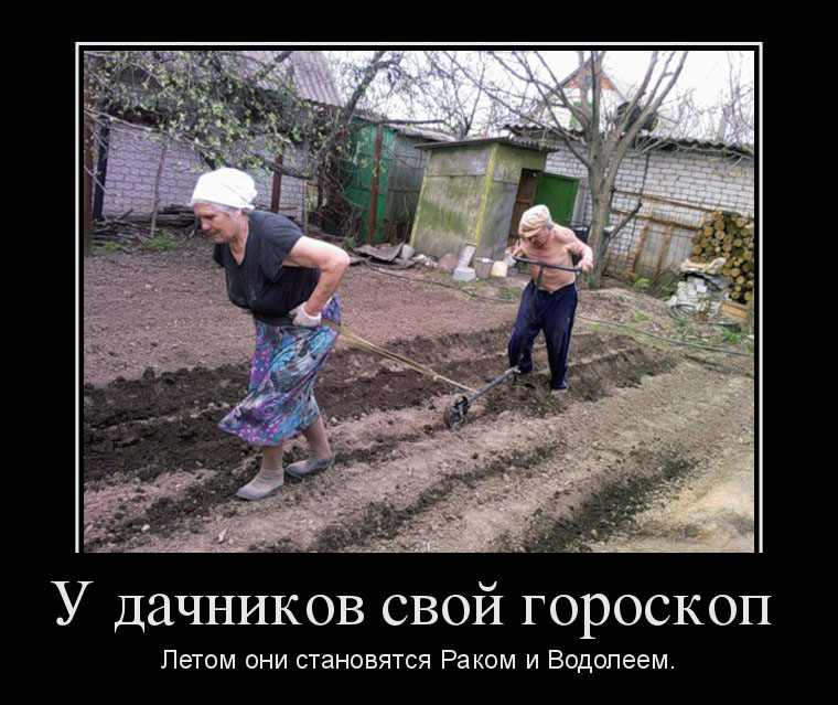 Дачный гороскоп