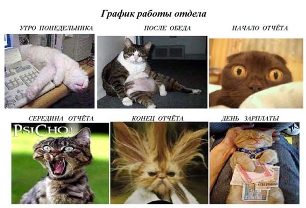 Работа...