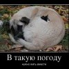 Нужно жить вместе Нужно жить вместе