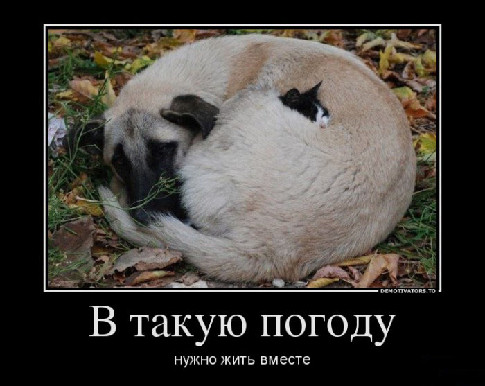 Нужно жить вместе