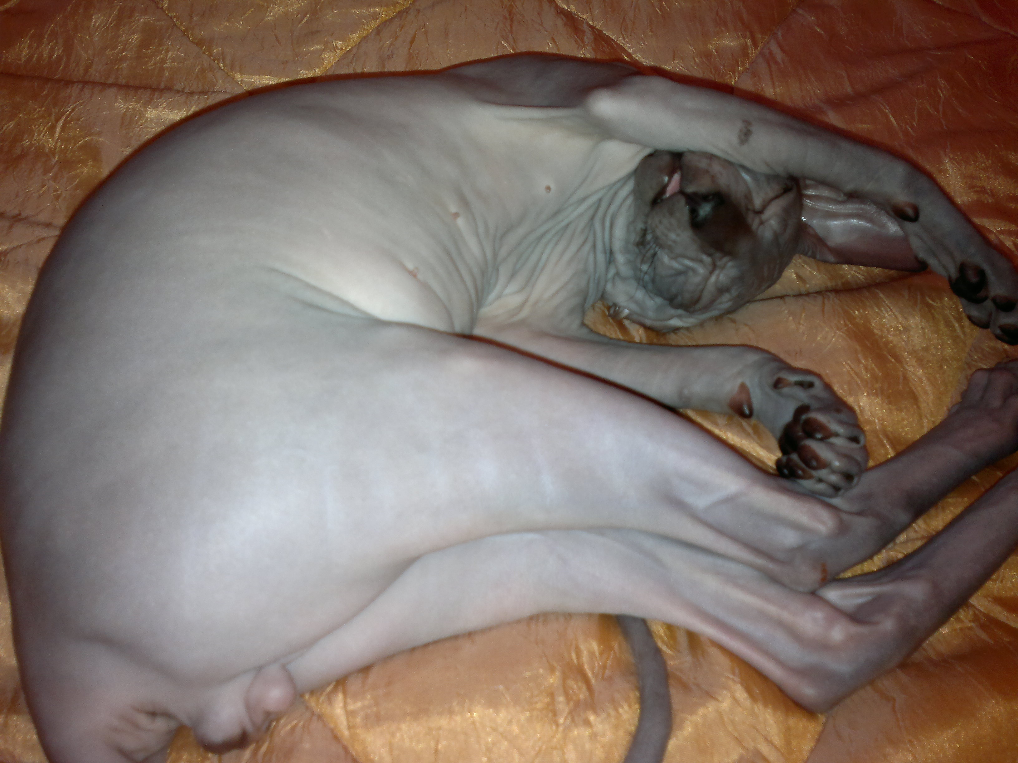 Подружку бы...