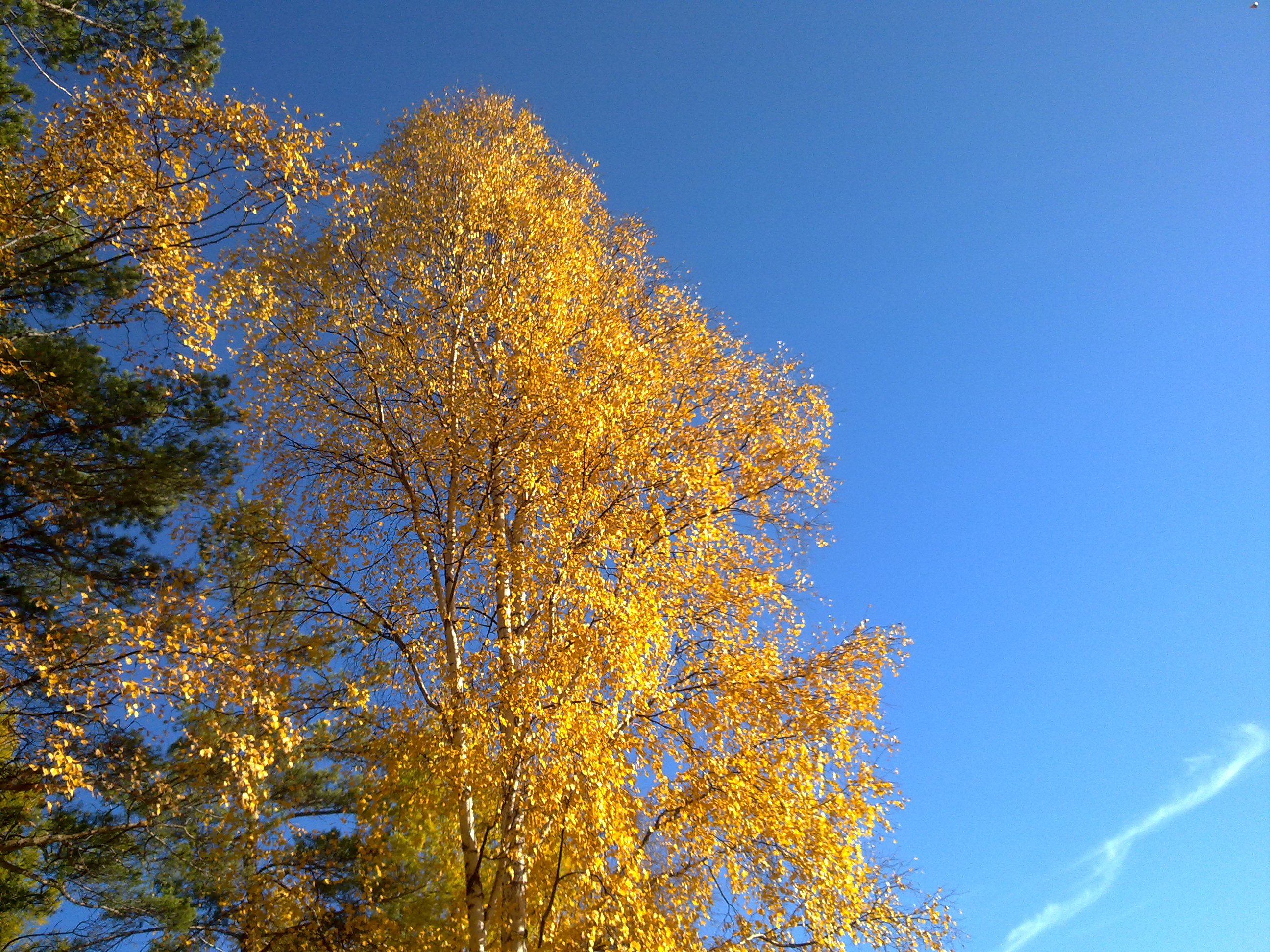 031020101338
