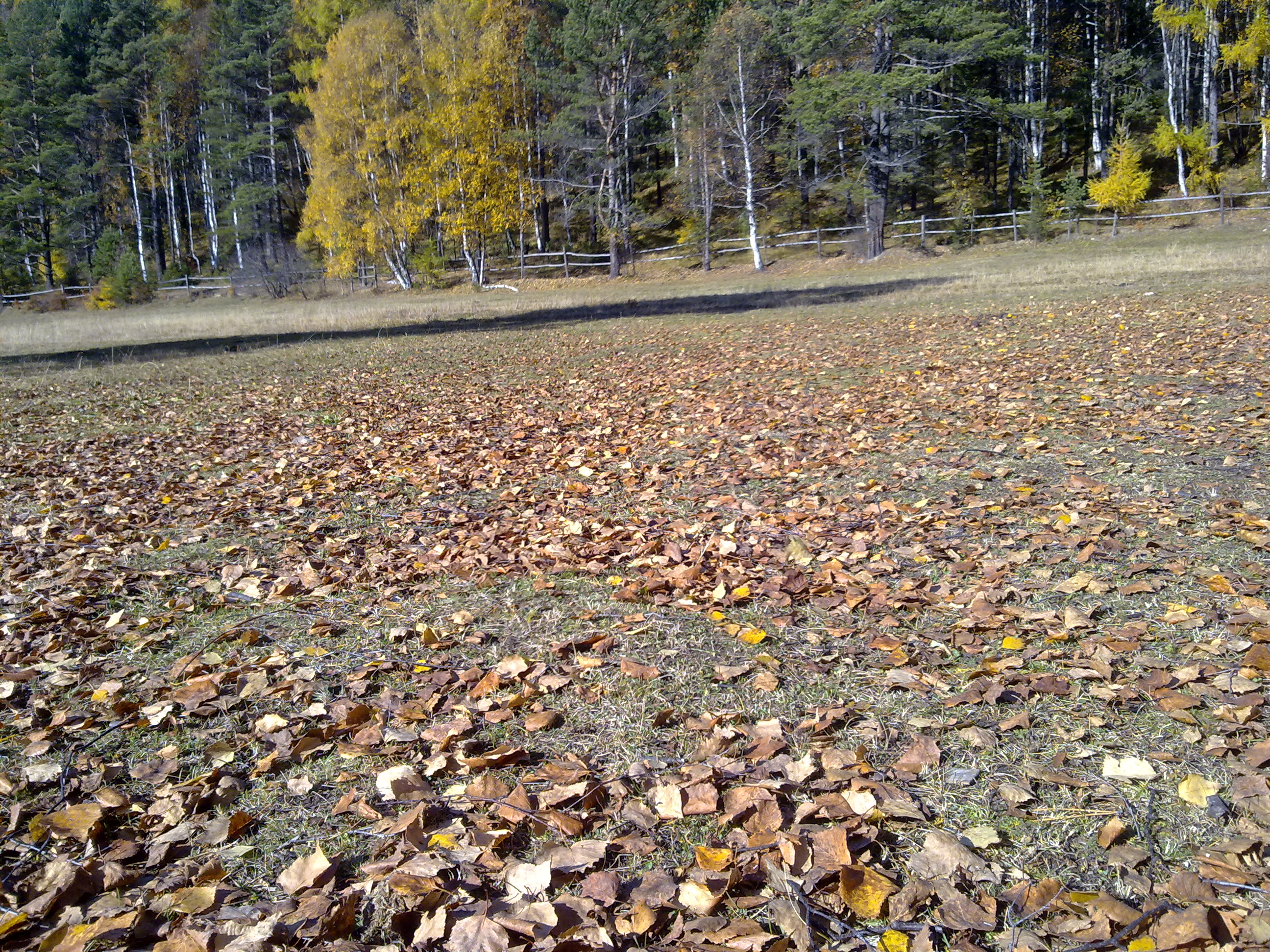 031020101350