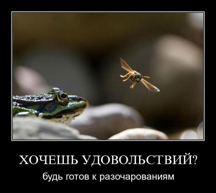 Будь готов к разочарованиям