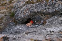 подкаменные жители желают познакомиться