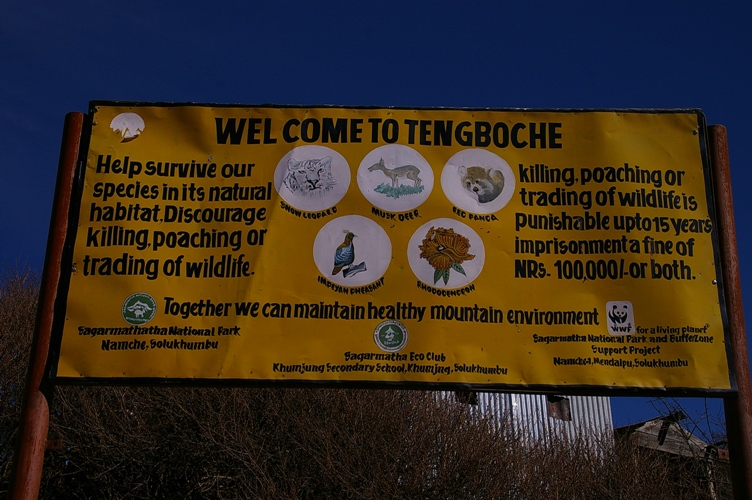 берегите редких животных