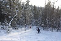 вон я там вдали присугробилась