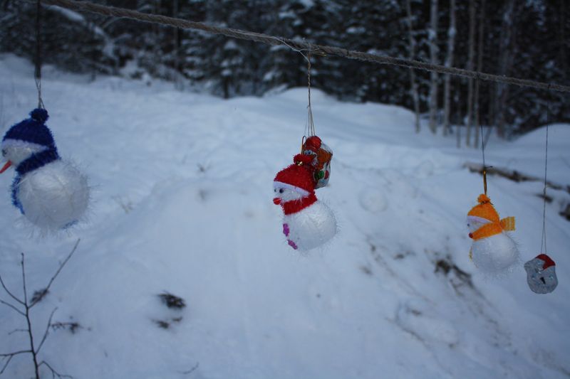 конкурсные призы