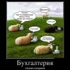 Бухгалтерия
